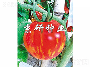 �����в�3̖-���ѷN��-���зN�I(y��)