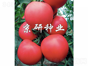 Ӳ��8̖-���ѷN��-���зN�I(y��)