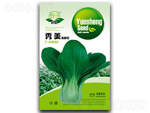 ����-�๣�˷N��-��ʢ