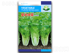 �ǹ���-��˷N��-��ʢ