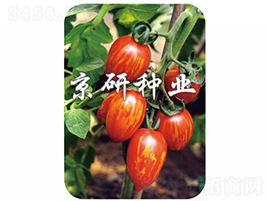 ����1̖-���ѷN��-���зN�I(y��)