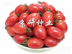 ����2̖-���ѷN��-���зN�I(y��)