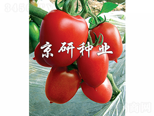 �t��1̖-���ѷN��-���зN�I(y��)