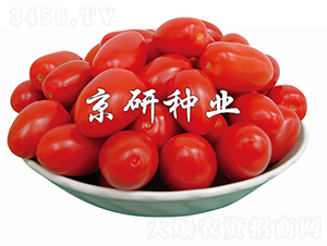 ����5̖-���ѷN��-���зN�I(y��)