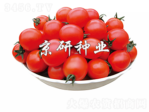 ����8̖-���ѷN��-���зN�I(y��)