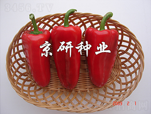 �t��-�����N��-���зN�I(y��)