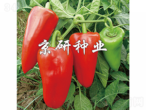 ����1̖(h��o)-�����N��-���зN�I(y��)