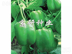 ����3̖(h��o)-�����N��-���зN�I(y��)