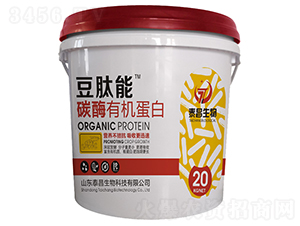 ̼ø�ЙC����-������-��̩����