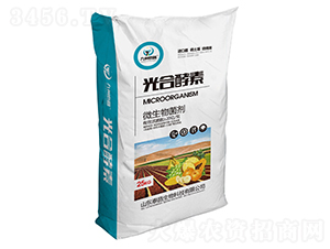 ��Ͻ���-��̩����