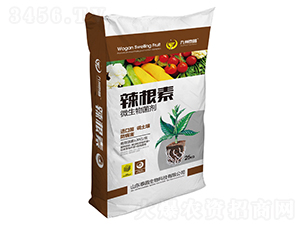 ������΢�������-��̩����