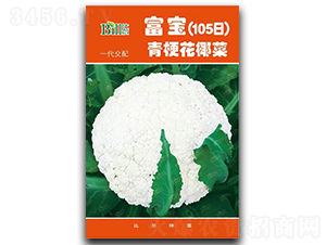 ����105��-��Ҭ�˷N��-�Ƞ�