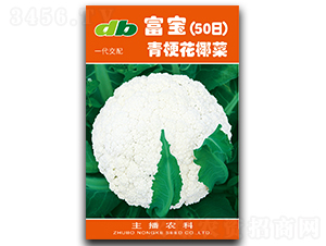 ����50��-��Ҭ�˷N��-�Ƞ�