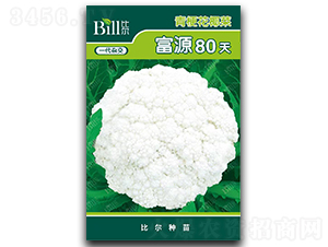 ��Դ80��-��Ҭ�˷N��-�Ƞ�