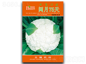 �}��75��-��Ҭ�˷N��-�Ƞ�