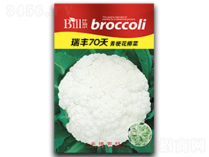 ���S70��-��Ҭ�˷N��-�Ƞ�