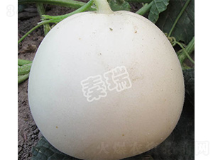 �����̖(h��o)-��ϷN��-����