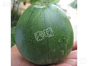 �������-��ϷN��-����