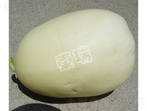 ����һ̖(h��o)-��ϷN��-����