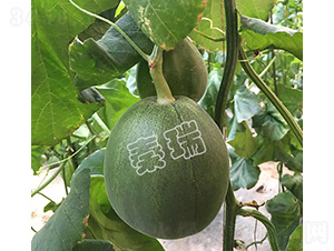 ����G����-��ϷN��-����