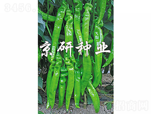 ����901-�����N��-���зN�I(y��)