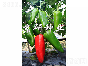 ����318-�����N��-���зN�I(y��)