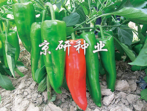 ����8̖(h��o)-�����N��-���зN�I(y��)