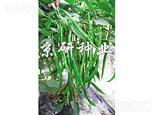 ����413-�����N��-���зN�I(y��)