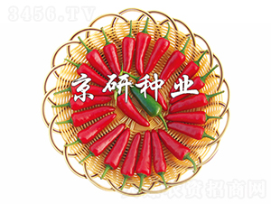 ����106-�����N��-���зN�I(y��)