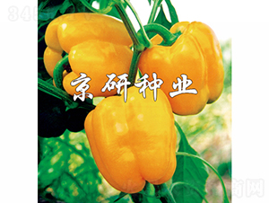 �S��2̖-�����N��-���зN�I(y��)