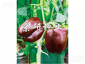 �ɿ�����-�����N��-���зN�I(y��)