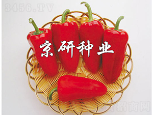 ����-�����N��-���зN�I(y��)