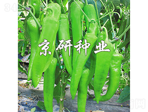 �ٺ�742-�����N��-���зN�I(y��)