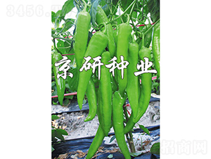 ����912-�����N��-���зN�I(y��)