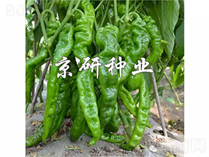 ����2̖-�����N��-���зN�I(y��)