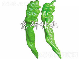 ����5̖-�����N��-���зN�I(y��)