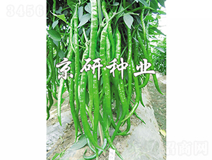 ����2̖(h��o)-�����N��-���зN�I(y��)