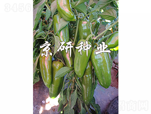 ���T3̖(h��o)-�����N��-���зN�I(y��)