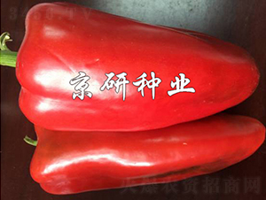 ���T160-�����N��-���зN�I(y��)