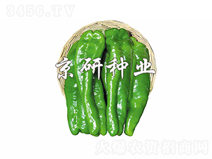 ���J-�����N��-���зN�I(y��)