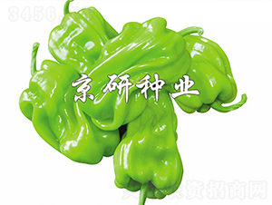 ��Ƥ2̖(h��o)-�����N��-���зN�I(y��)