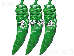 ����97-�����N��-���зN�I(y��)