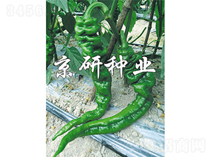 ����47-�����N��-���зN�I(y��)