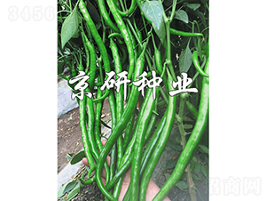 ����181-�����N��-���зN�I(y��)