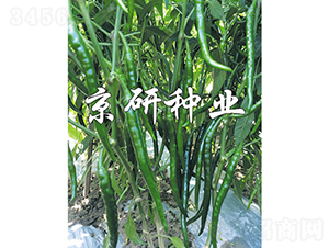 ����2̖(h��o)-�����N��-���зN�I(y��)