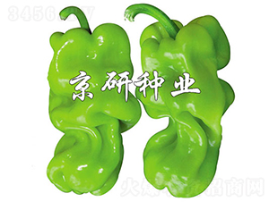 ���а�Ƥ3̖(h��o)-�����N��-���зN�I(y��)