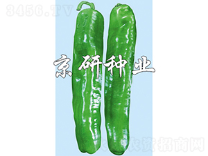 ����3̖(h��o)-�����N��-���зN�I(y��)