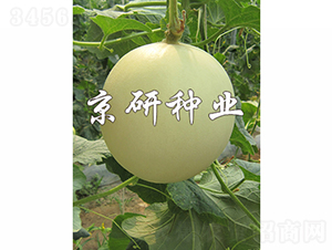 �����1̖(h��o)-��ϷN��-���зN�I(y��)