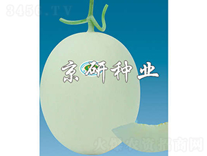 ����3̖(h��o)-��ϷN��-���зN�I(y��)