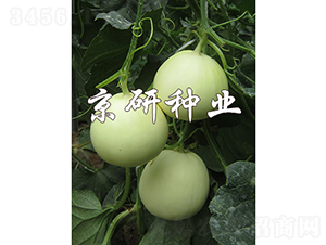 ����-��ϷN��-���зN�I(y��)